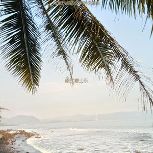 适合静止平衡的音乐