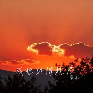 我把热情耗尽 (Cover 王佳音)