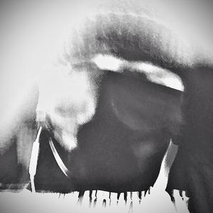 Top of The Dome Part1