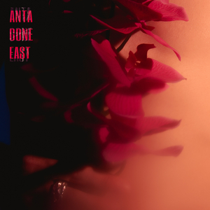 Гриф гітари