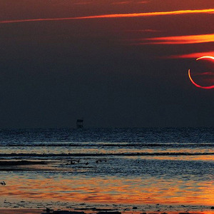 整个海湾都是我的