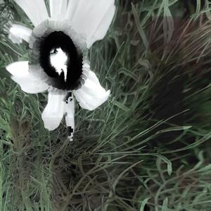 Yikii - Microtonal Raindrop微音霖乱(demo)