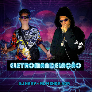 Eletromandelação