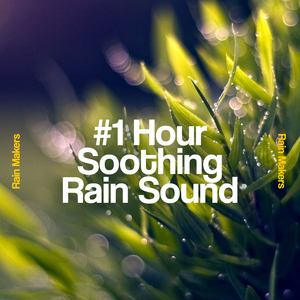March Rain