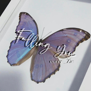 Falling You