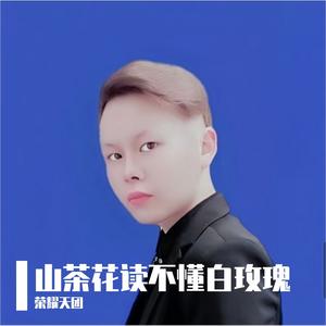 山茶花读不懂白玫瑰