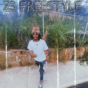 Z3 Freestyle