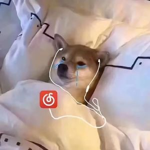 yarim ketiman 爱人说走