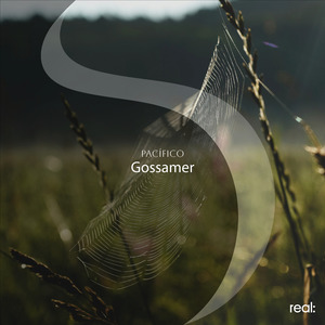 Gossamer