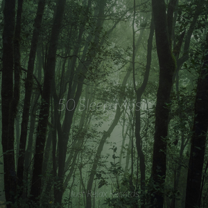 Moonlit Lullaby's Glow