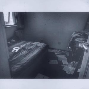 茉莉花与西瓜糖