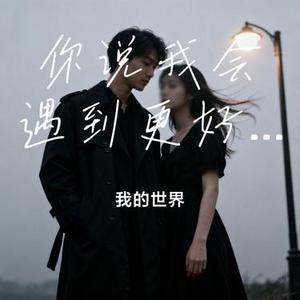 你说我会遇到更好的人