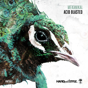 Acid Blasted (Original Mix)