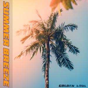 Caribbean Island Morning Sun