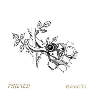 PRUNED