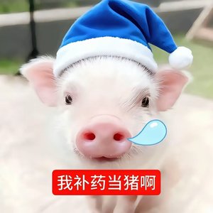 无期船票