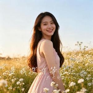 是我没有等过你吗 (大头针Offlcial Remix)