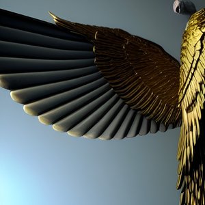 The Right Path To Insanity