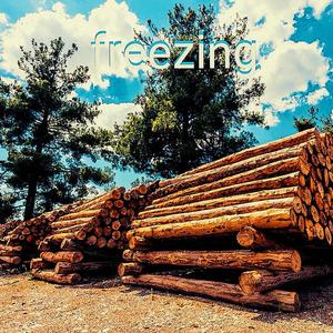 OrangeBird-freezing（OrangeBird / CBG remix）