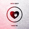 Nico Brey - Miss Me (Extended) (Extended)