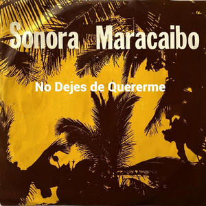 No Dejes De Quererme