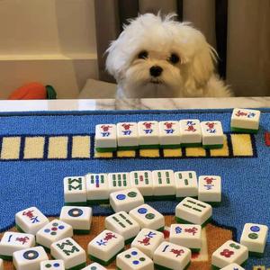 冬日金鼓瓣与你Demo [prod by wes10hill]