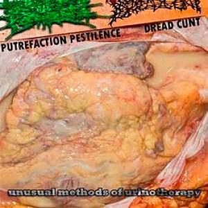 Covered with Faeces (feat. PUTREFACTION PESTILENCE)
