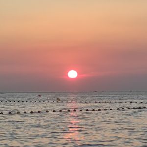 去码头搞点薯条吃吃吧