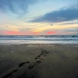 wassup! (feat. KXSHO)