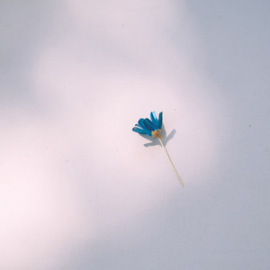 风是无边的沙漠