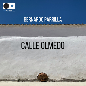 Calle Olmedo