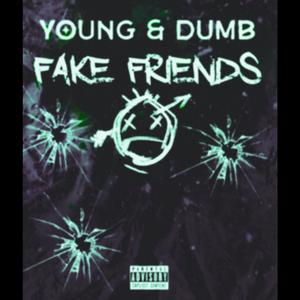 Fake Friends Freestyle