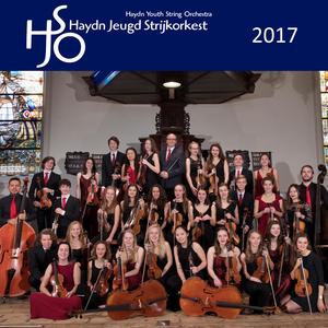 Serenade for Strings in G minor (feat. Loïs van Malenstein)