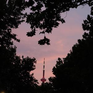 What Can I Hold You With?