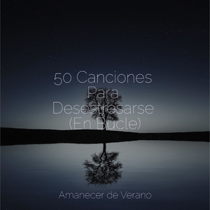 Resplandecientes Ritmos de Resurgimiento