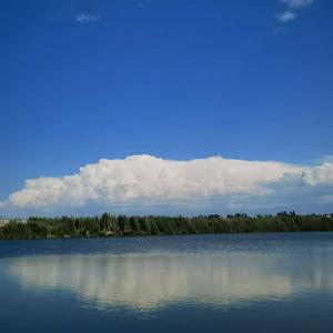 窗外花开(cover阿虾)（翻自 李晋）