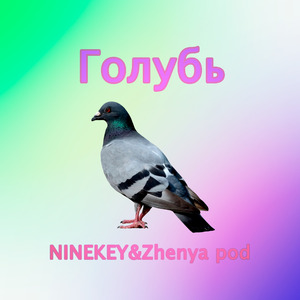 Голубь