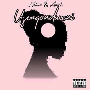 Usenqondweni (feat. Anerh)