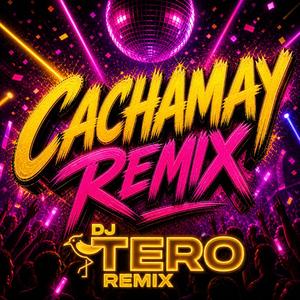 Cachamay (Tero Dj Fiestero Rmx)