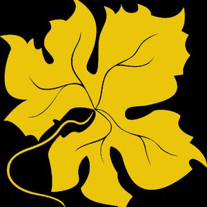 DuhokiFF 2013 Official