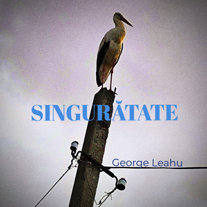 Singurătate