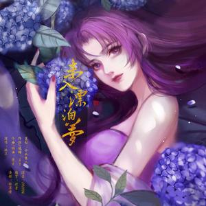 未入漂泊梦 伴奏