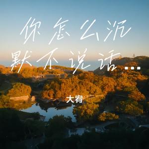 你怎么沉默不说话了