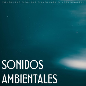 Vórtice Binaural Tranquilo