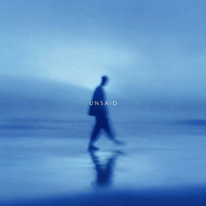 Unsaid