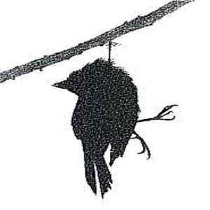 Hangman (feat. nexxon2)