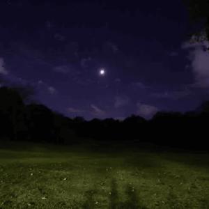 melatonin