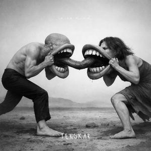 tengkar