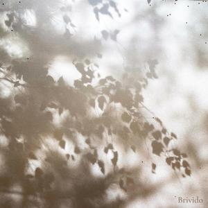 Brivido