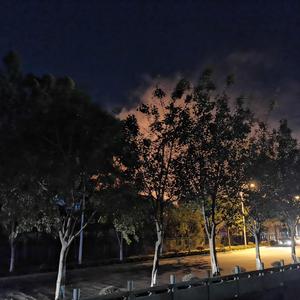 AR（刘夫阳）-夜剩淡（书弘 remix）